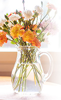 flowersc