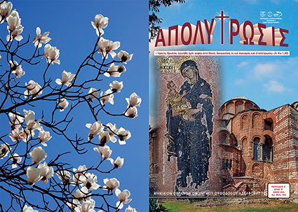 apolmay25 cover